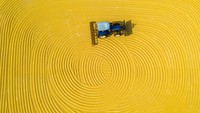 Bisanya gabah dijemur langsung tanpa membuat pola apapun, Tapi, petani di Suqian ini sangat kreatif.