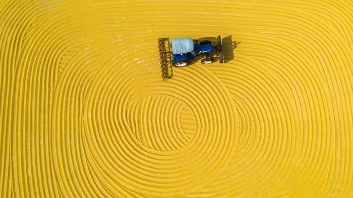 1281209211 SUQIAN, CHINA - OCTOBER 19: Aerial view of grains aired in the sun on October 19, 2020 in Suqian, Jiangsu Province of China. (Photo by Zhang Lianhua/VCG via Getty Images)