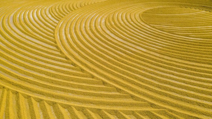 SUQIAN, CHINA - OCTOBER 19: Aerial view of grains aired in the sun on October 19, 2020 in Suqian, Jiangsu Province of China. (Photo by Zhang Lianhua/VCG via Getty Images)