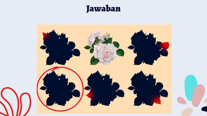 Yakin Sudah Jeli? Coba Temukan Apa yang Beda di Gambar Ini