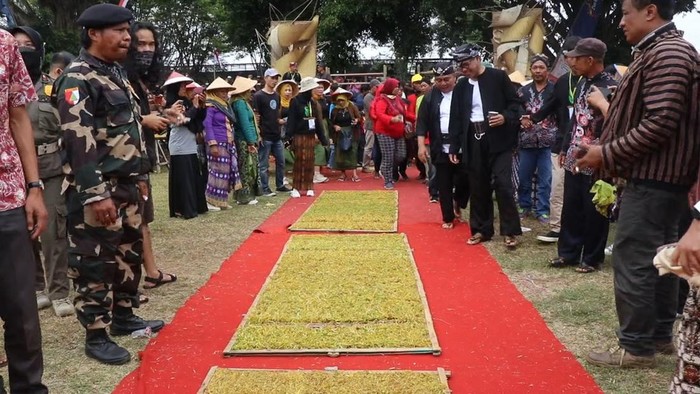 Festival Wiwit Mbako Panen Kopi