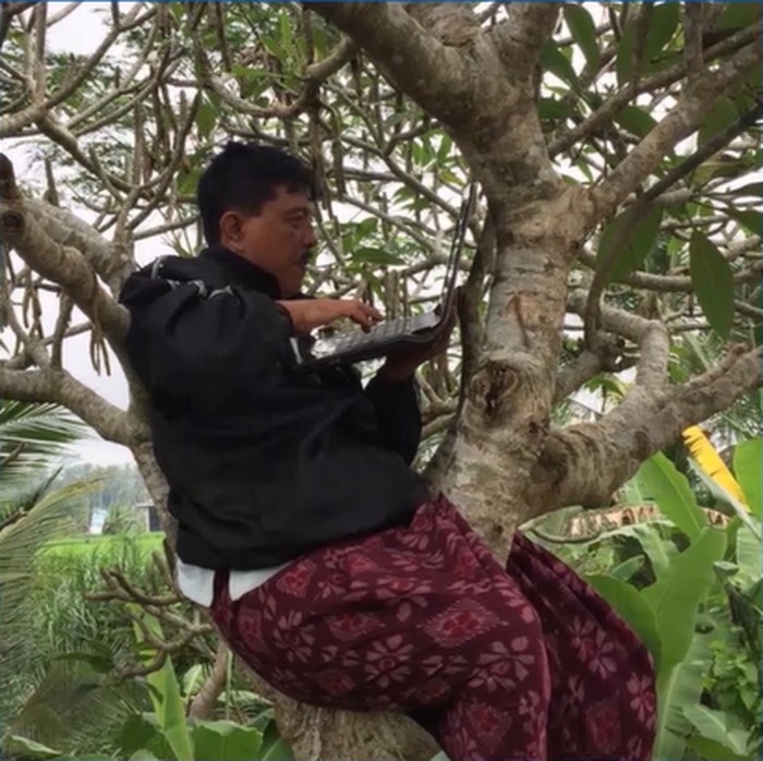 Seorang guru dari Kintamani Bali, Pak Sarjana, memanjat pohon demi mengikuti pelatihan dari Putera Sampoerna Foundation.