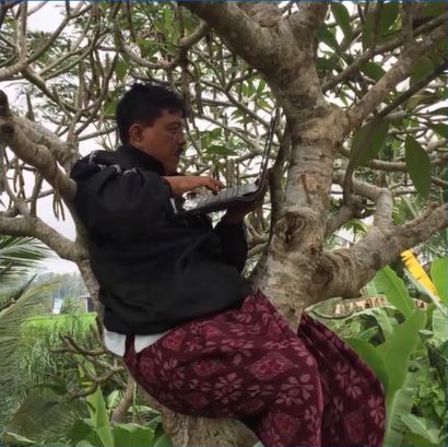 Seorang guru dari Kintamani Bali, Pak Sarjana, memanjat pohon demi mengikuti pelatihan dari Putera Sampoerna Foundation.