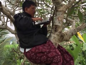 Inspiratif, Guru Ini Sampai Panjat Pohon Demi Dapat Sinyal Belajar!