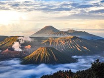 Tanggal 11 Agustus 2025 Memperingati Hari Apa? Ada 5 Peringatan Menarik
