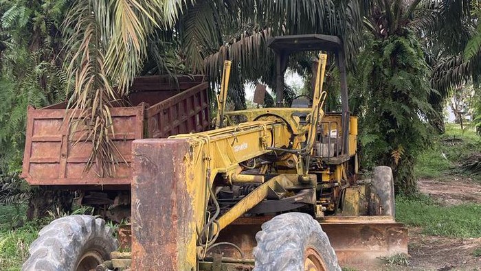 Jaksa Sita 1.002 Hektar Tanah Perkebunan Terkait Kasus Surya Darmadi di Jambi. /
Kejaksaan Negeri Batanghari.