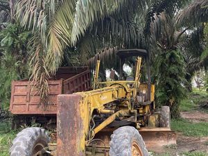 Jaksa Sita 1.002 Hektare Tanah Perkebunan Terkait Kasus Surya Darmadi di Jambi