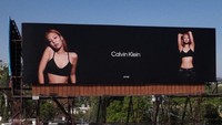 Sementara itu, BLACKPINK baru saja comeback dengan merilis Pink Venom. Foto: (dok. Calvin Klein)