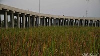 Menurut petugas jalan tol ini direncanakan akan dibuka buat masyarakat pada bulan September  2022.