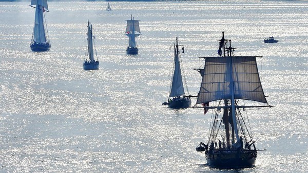 Kapal pesiar Brig Niagara A.S. memimpin tujuh kapal pesiar lain yang ikut serta dalam festival. (AP Photo/Greg Wohlford) Kapal pesiar Brig Niagara A.S. memimpin tujuh kapal pesiar lain yang ikut serta dalam festival. (AP Photo/Greg Wohlford)
