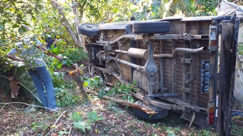 Mobil angkut babi yang terperosok ke jurang di Desa Gobleg, Kecamatan Banjar, Kabupaten Buleleng, Bali, Jumat (26/8/2022).