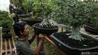 Pameran Flona sebelumnya sudah diadakan sebanyak 34 kali dan tahun ini menjadi penyelenggaraan yang ke-35. Pameran Flona terakhir diadakan di Lapangan Banteng pada 2019.