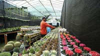Warga beraktivitas di Pameran Flora dan Fauna di Taman Banteng, Jakarta, Jumat (26/8/2022).