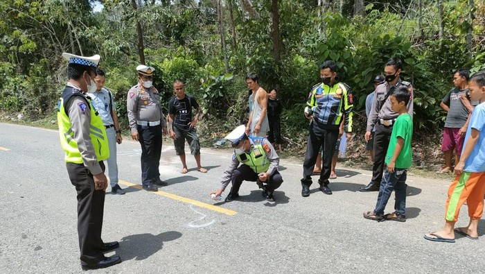 Polisi olah TKP pascatabrakan pikap vs truk yang tewaskan 3 siswa di Landak, Kalbar.