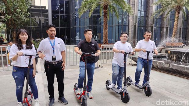 Segway-Ninebot Kickscooter D Series