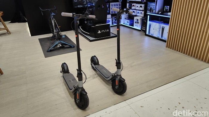 Segway-Ninebot Kickscooter D Series