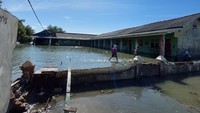 “Sepatu boot ini bakal digunain karena mereka biasanya cuma pakai sendal jadi suka luka karena kulit-kulit kerang. Kekurangan buku juga karena suka basah,” sambungnya.