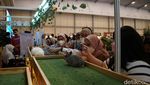 Hewan-hewan Lucu Dipamerkan di IIPE 2022