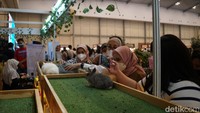 Sejumlah pengunjung tampak memadati salah satu stand pameran hewan peliharaan.