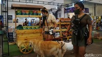 Indonesia International Pet Expo juga menyajikan beragam makanan hingga perlengkapan hewan.
