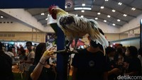 Indonesia International Pet Expo 2022 merupakan perhelatan pertama sejak pandemi Corona.