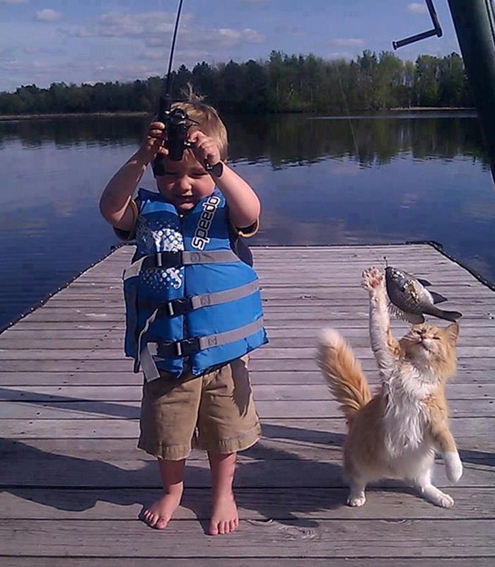 Lucunya! Aksi Gemas Para Kucing Saat Ketahuan Diam-diam Curi Makanan Lucunya! Aksi Gemas Para Kucing Saat Ketahuan Diam-diam Curi Makanan
