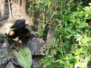 Terungkap, Identitas Mayat dalam Pipa Besi Saluran Air di Probolinggo
