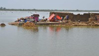 Sejumlah warga bertahan di tenda darurat depan rumahnya yang rusak akibat banjir. Mereka tetap bertahan meski banjir mengepung rumahnya.