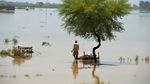 Penampakan Banjir Landa Pakistan