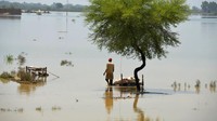 Seorang warga berusaha mengevakuasi barang-barang dari banjir di Jaffarabad, Pakistan.