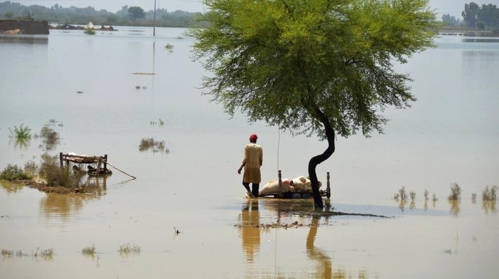 Banjir telah melanda Pakistan. Badan Penanggulangan Bencana Nasional (NDMA) menyebut lebih dari 4,2 juta warga terdampak banjir.