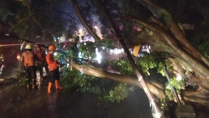 Pohon tumbang di Kota Bogor