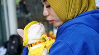 Cleo tak hanya membuat produk makanan kucing yang berkualitas tinggi, tetapi juga mengerti bagaimana hubungan pemilik dengan kucing. Mulai dari mengelar acara kumpul para komunitas pecinta kucing hingga mengelar acara seperti ini.