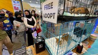 Menurut data Euromonitor tercatat peningkatan 129% jumlah kepemilikan kucing dari tahun 2017 hingga 2021 hal inilah yang melatarbelakangi Cleo untuk menggelar talkshow dalam acara CLEO’s Day Out dengan tema “Mpusku, Bestieku”. Oh iya, ada juga adopsi kucing gratis lho bagi pecinta kucing yang ingin menambah koleksi peliharaannya.