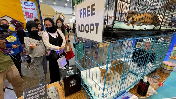 Cleo’s Day Out digelar untuk menyenangkan kucing peliharaan yang dihelat berbarengan dengan pelaksanaan IIPE (Indonesia International Pet Expo) Sabtu, (27/8/2022) di ICE BSD.
