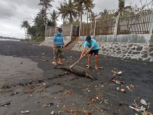 Lumba-lumba Mati Terdampar di Pantai Perancak Jembrana