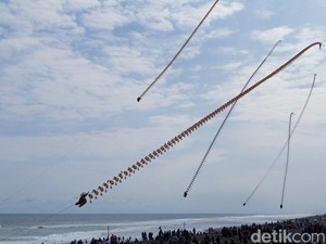 Mengagumi Indahnya Layang-layang di Langit Purworejo