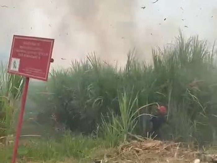 Kebakaran lahan tebu di Anggaswangi Sidoarjo
