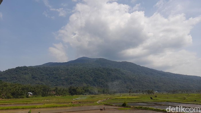 Pesona jalur pendakian Gunung Tampomas via Narimbang Sumedang