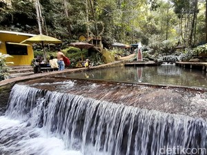 Pesona Jalur Narimbang, Jalur Terfavorit Pendakian Tampomas Sumedang