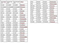 Apa Itu Regular Verb? Contoh, Dan Bedanya Dengan Irregular Verb