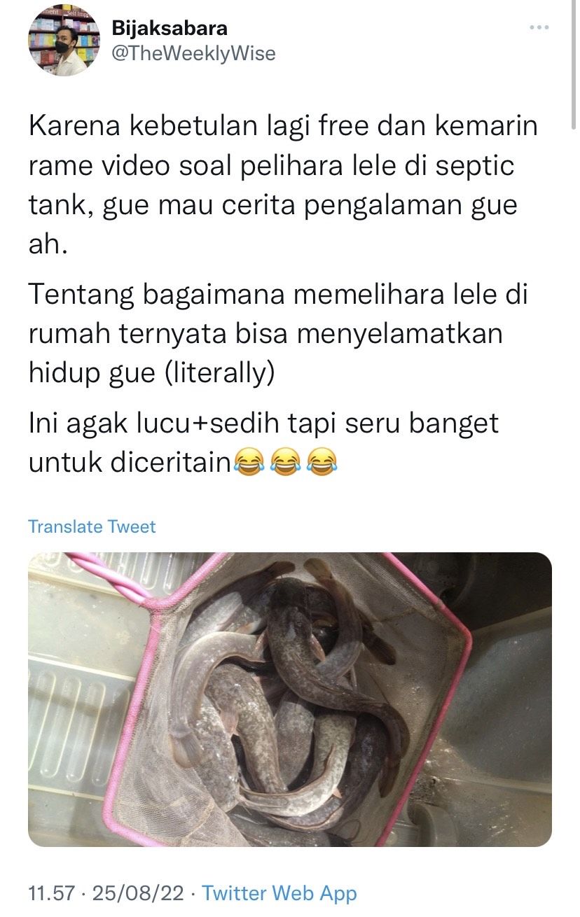 Pria terbebas stres karena ternak ikan lele