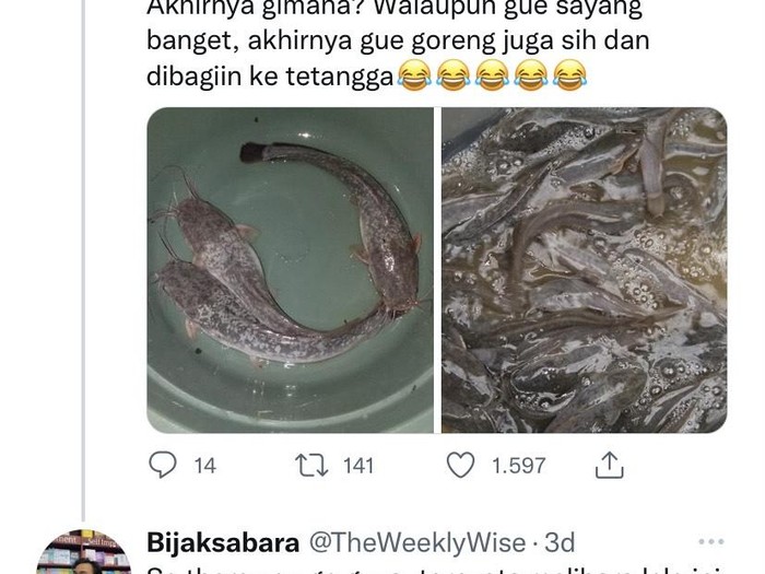 Pria terbebas stres karena ternak ikan lele