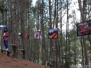 Tondok Bakaru Village Festival Jadi Ajang Perkenalkan Potensi Wisata Mamasa