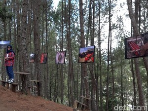 Tondok Bakaru Village Festival Jadi Ajang Perkenalkan Potensi Wisata Mamasa