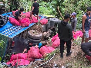 Truk Pengangkut 7 Ton Bawang di Enrekang Terguling ke Jurang 20 Meter