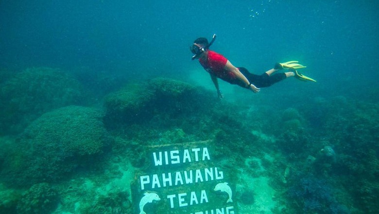 Desa Wisata Pulau Pahawang Lampung Desa Wisata Pulau Pahawang Lampung
