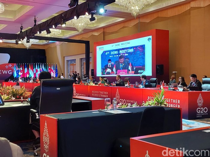 DEWG G20