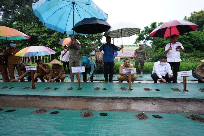 Gubri Ajak Warga Tanam Cabai di Pekarangan Rumah