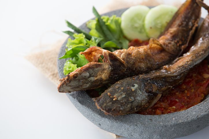 Hukum makan lele yang diberi makan kotoran